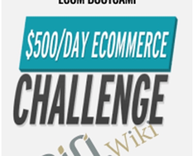 0 To $500/Day Shopify eCom Bootcamp – Travis Stephenson