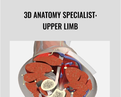 3D Anatomy Specialist: Upper Limb - Primal Pictures