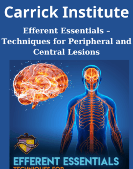 530) Efferent Essentials – Techniques for Peripheral and Central Lesions By Carrick Institute