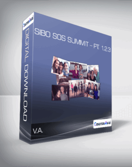 V.A. - SIBO SOS Summit - Pt. 1.2.3