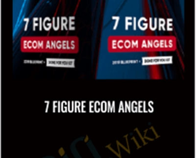 7 Figure Ecom Angels