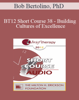 [Audio] BT12 Short Course 38 - Building Cultures of Excellence: Strategies to Improve Therapeutic Outcomes in Agencies - Bob Bertolino, PhD