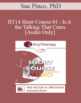 [Audio] BT14 Short Course 01 - Is it the Talking That Cures: Utilizing Silence to Make Therapy More Experiential and Improve Outcomes - Sue Pinco, PhD