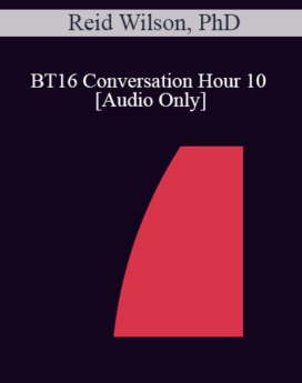 [Audio] BT16 Conversation Hour 10 - Reid Wilson, PhD