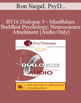 [Audio] BT16 Dialogue 3 - Mindfulness, Buddhist Psychology, Neuroscience, and Attachment - Ron Siegel, PsyD, and Stan Tatkin PsyD, MSW