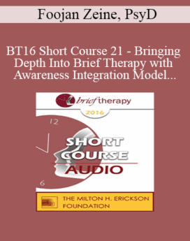 [Audio] BT16 Short Course 21 - Bringing Depth Into Brief Therapy with Awareness Integration Model - Foojan Zeine, PsyD
