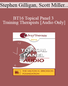 [Audio] BT16 Topical Panel 3 - Training Therapists - Stephen Gilligan, Scott Miller, and Bill O’Hanlon