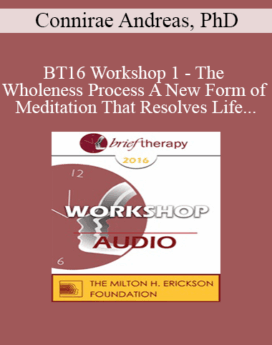 [Audio] BT16 Workshop 1 - The Wholeness Process A New Form of Meditation That Resolves Life Issues - Connirae Andreas, PhD