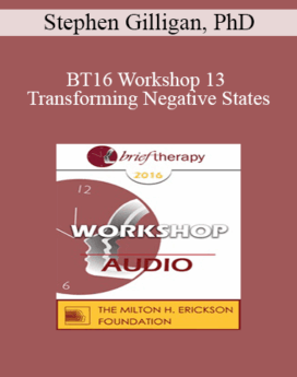 [Audio] BT16 Workshop 13 - Transforming Negative States: An Essential Skill in Generative Therapy - Stephen Gilligan, PhD