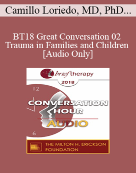 [Audio] BT18 Great Conversation 02 - Trauma in Families and Children - Camillo Loriedo, MD, PhD and Lynn Lyons, LICSW