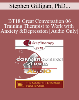 [Audio] BT18 Great Conversation 06 - Training Therapist to Work with Anxiety and Depression - Stephen Gilligan, PhD and Scott Miller, PhD