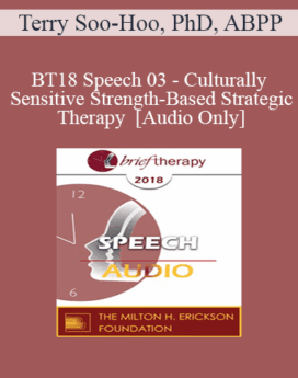 [Audio] BT18 Speech 03 - Culturally Sensitive Strength-Based Strategic Therapy - Terry Soo-Hoo, PhD, ABPP