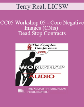 [Audio] CC05 Workshop 05 - Core Negative Images (CNis) and Dead Stop Contracts: Powerful Tools of Relational Recovery Therapy - Terry Real, LICSW