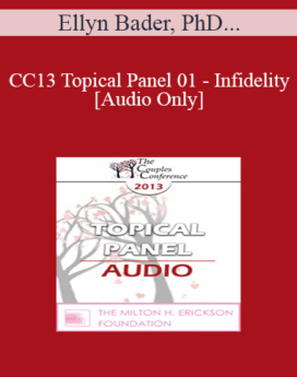 [Audio] CC13 Topical Panel 01 - Infidelity - Ellyn Bader, PhD, Janis Abrahms Spring, PhD, and Michele Weiner-Davis, MSW, LCSW