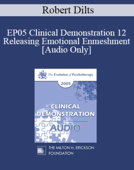 [Audio] EP05 Clinical Demonstration 12 - Releasing Emotional Enmeshment - Robert Dilts