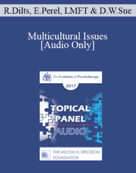 [Audio] EP17 Topical Panel 02 - Multicultural Issues - Robert Dilts, BA, Esther Perel, MA, LMFT and Derald Wing Sue, PhD