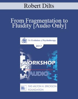 [Audio] EP17 Workshop 05 - From Fragmentation to Fluidity - Robert Dilts, BA