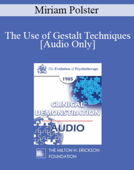 [Audio] EP85 Clinical Presentation 19 - The Use of Gestalt Techniques: A Supervision Session - Miriam Polster, Ph.D.