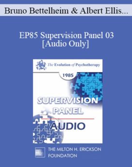 [Audio] EP85 Supervision Panel 03 - Bruno Bettelheim, Ph.D. Albert Ellis, Ph.D. Salvador Minuchin, M.D. Miriam Polster, Ph.D.