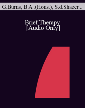 [Audio] IC04 Topical Panel 02 - Brief Therapy - George Burns, B A . (Hons.), Steve de Shazer, M.S.S.W., Richard Fisch, M.D., Wendel Ray, Ph.D.