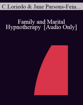 [Audio] IC04 Topical Panel 03 - Family and Marital Hypnotherapy - Camillo Loriedo, M.D., Jane Parsons-Fein, C.S.W., Michele Ritterman, Ph.D., Gunther Schmidt, M.D.