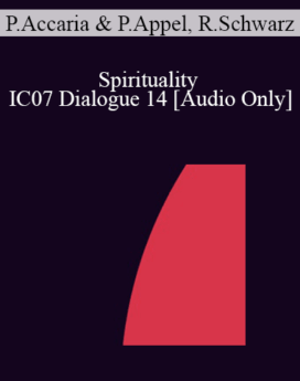 [Audio] IC07 Dialogue 14 - Spirituality - Philip Accaria, PhD, Philip Appel, PhD, Robert Schwarz, Psy.D.
