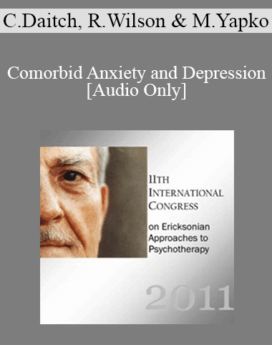 [Audio] IC11 Dialogue 08 - Comorbid Anxiety and Depression - Carolyn Daitch, Reid Wilson, and Michael Yapko