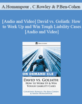 Trial Guides - David vs. Goliath: How to Work Up and Win Tough Liability Cases