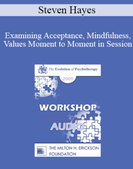 [Audio] EP09 Workshop 37 - Examining Acceptance, Mindfulness, Values Moment to Moment in Session - Steven Hayes, PhD