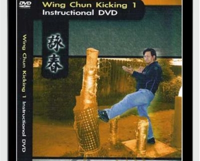 Wing Chun Kicking - Gary Lam