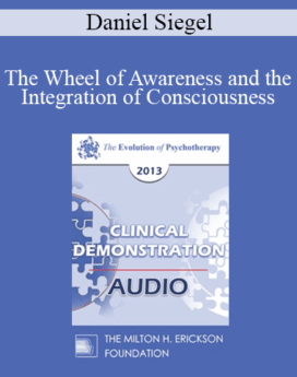 [Audio] EP13 Clinical Demonstration 02 - The Wheel of Awareness and the Integration of Consciousness (Live) - Daniel Siegel, MD
