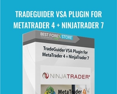 Tradeguider VSA Plugin For Metatrader 4 + Ninjatrader 7 - Ninjatrader