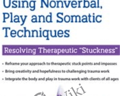 Trauma Treatment Using Nonverbal, Play and Somatic Techniques: Resolving Therapeutic “Stuckness" - Monica Blum