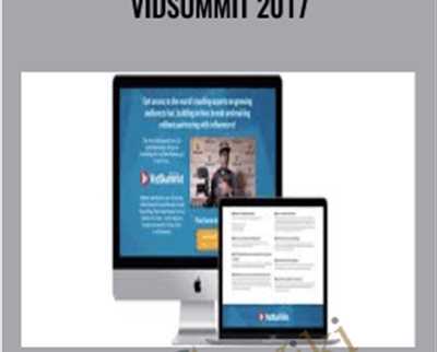 VidSummit 2017 - Gary Vaynerchuk
