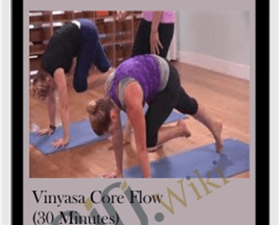 Vinyasa Core Flow (30 Minutes) – Yoga CoBective – Anaswara