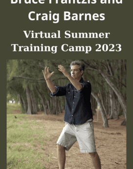 Virtual Summer Training Camp 2023 By Bruce Frantzis and  Craig Barnes