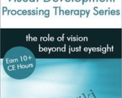 Visual Development Processing Therapy Series - Leonard J. Press & Christine Winter-Rundell