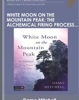 White Moon on the Mountain Peak: The Alchemical Firing Process of Nei Dan - Damo Mitchell