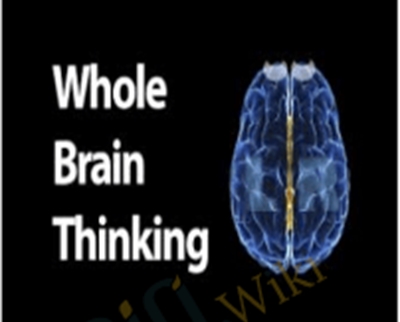Whole Brain Thinking – Mark Buchanan