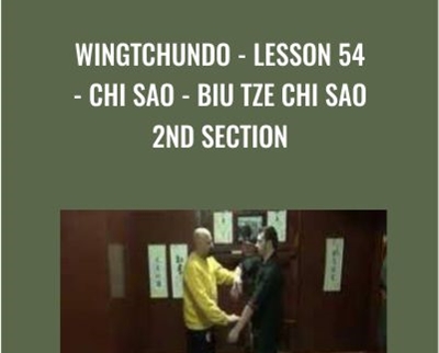 WingTchunDo - Lesson 54 - Chi Sao - Biu Tze Chi Sao 2nd Section - Sifu Fernandez