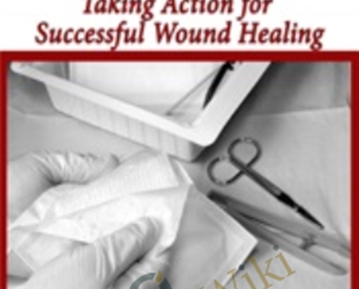 Wound Care: Taking Action for Successful Wound Healing - Joan Junkin